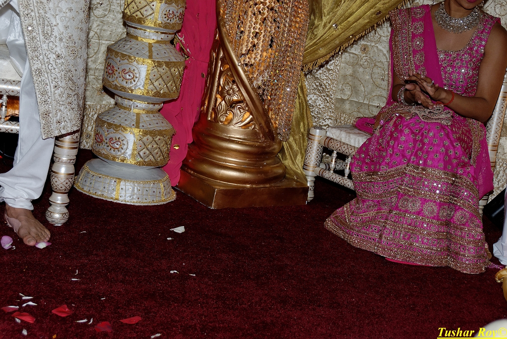 PAYAL_WEDDING-tr Image_1250.jpg
